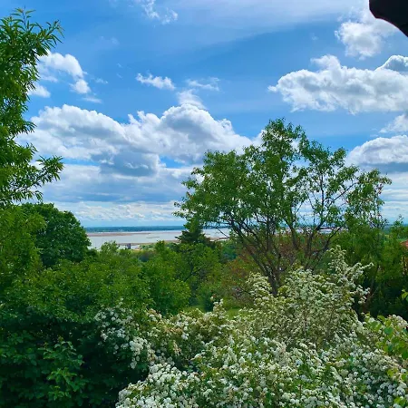 Velencei Vadregenyes Vendeghaz * 韦伦采