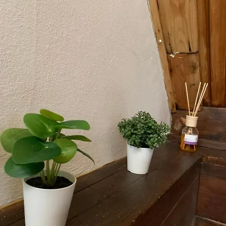 Velencei Vadregenyes Vendeghaz 度假居