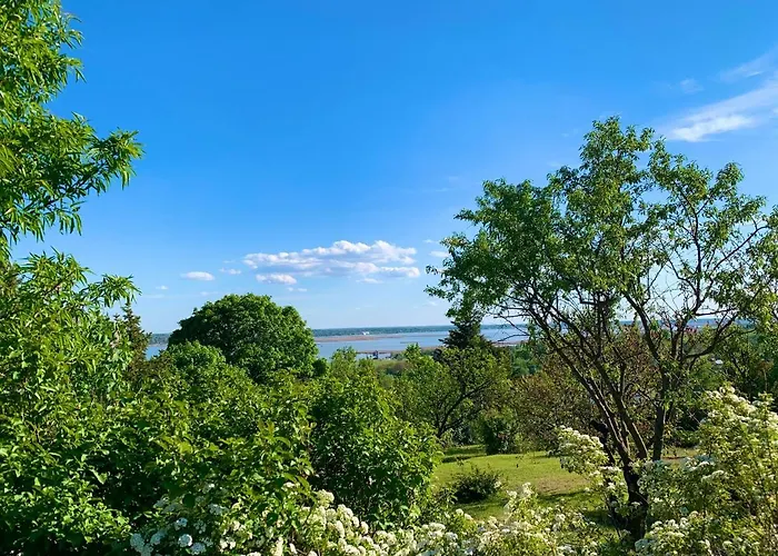 Velencei Vadregenyes Vendeghaz בית נופש ולנצה