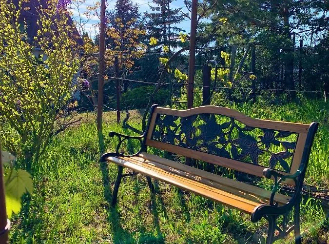 Velencei Vadregenyes Vendeghaz *