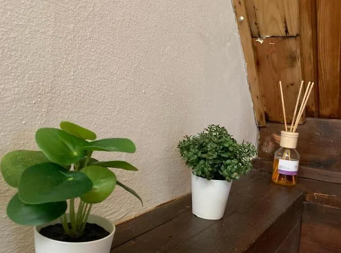 Velencei Vadregenyes Vendeghaz בית נופש